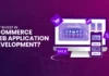 Why-Invest-in-Ecommerce-Web-Application-Development-