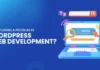 Are-Plugins-a-Problem-in-WordPress-Web-Development-